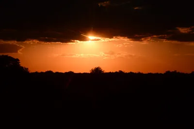 DSC_9726 (Large).JPG